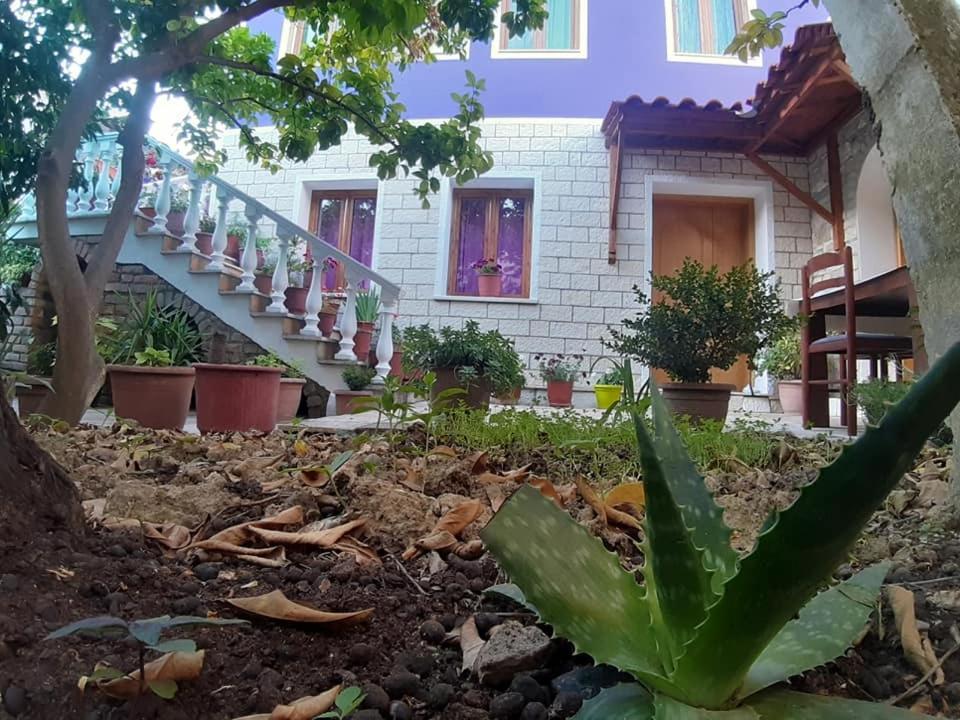 Guesthouse Hlias Gloria Berat Exteriér fotografie