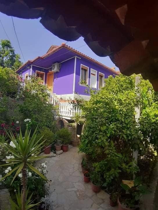 Guesthouse Hlias Gloria Berat Exteriér fotografie