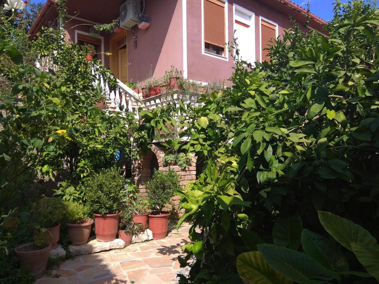 Guesthouse Hlias Gloria Berat Exteriér fotografie