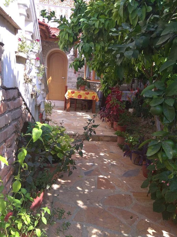Guesthouse Hlias Gloria Berat Exteriér fotografie